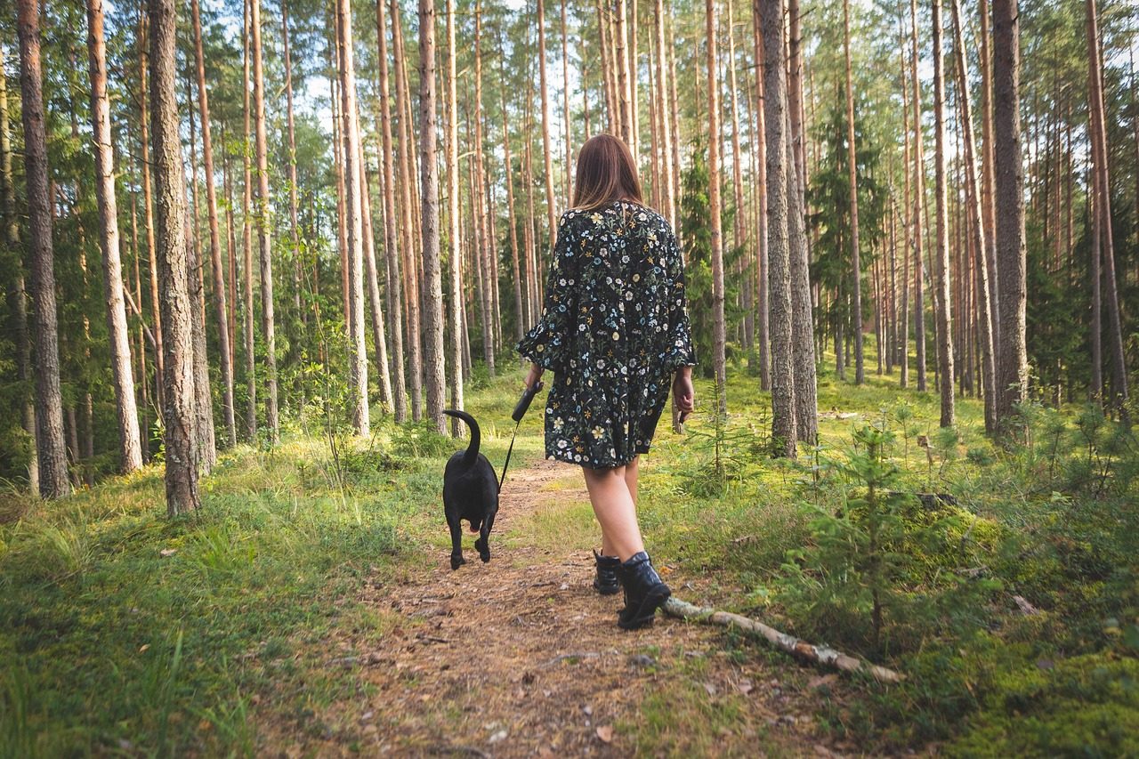 Čerstvá zelenina a ovocie na alpskom drevenom prkne v rannom svetle